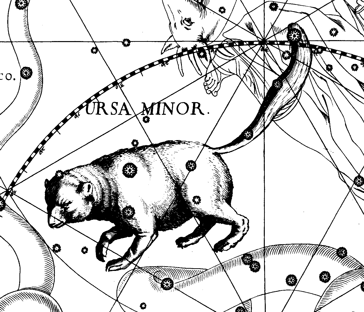 Малая медведица
